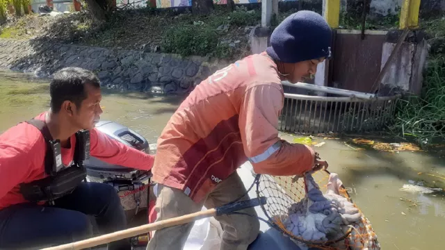 Duh, 4 Karung Jeroan Tepergok Dibuang di Sungai Ngagel Surabaya - GenPI.co JATIM