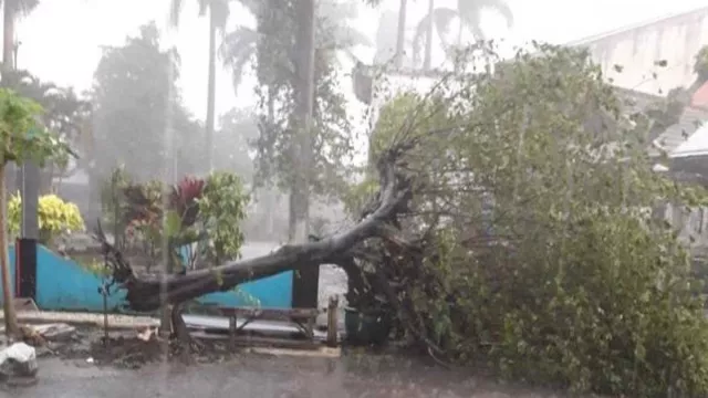 4 Orang Terluka Akibat Cuaca Ekstrem di Malang - GenPI.co JATIM
