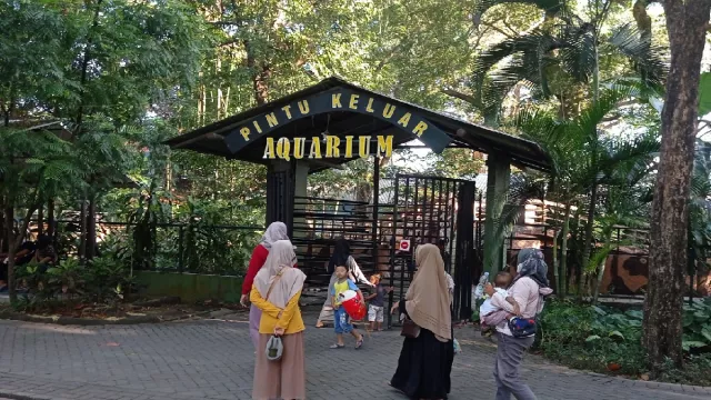 Kebun Binatang Surabaya Bakal Buka Night Zoo, Intip Rutenya - GenPI.co JATIM