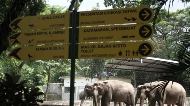 GL Zoo Akan Jalani Uji Coba Pembukaan Wisata di Yogyakarta - GenPI.co JOGJA
