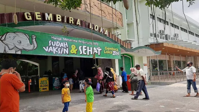 Wow, Gembira Loka Zoo Yogyakarta Hadirkan Beberapa Predator - GenPI.co JOGJA