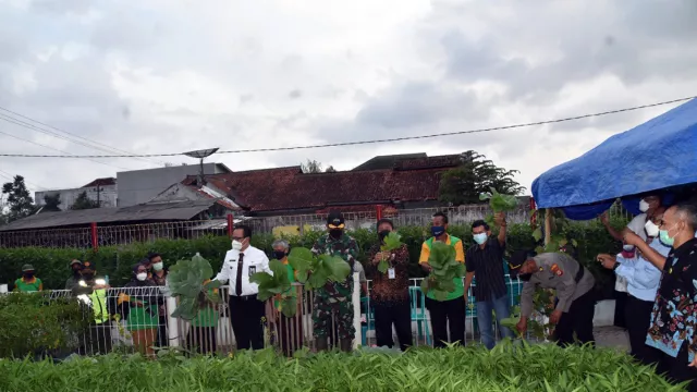 Kembangkan Lahan Kosong, Pemkot Yogyakarta Libatkan Kelompok Tani - GenPI.co JOGJA