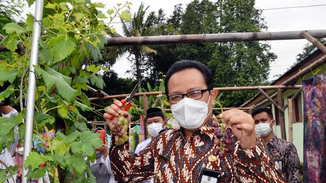 Wawali Yogyakarta Dorong Karang Taruna Kembangkan Lahan Kosong - GenPI.co JOGJA