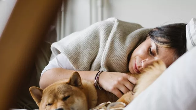 Jangan Tidur dengan Anjing atau Kucing, Ini Bahayanya - GenPI.co JOGJA