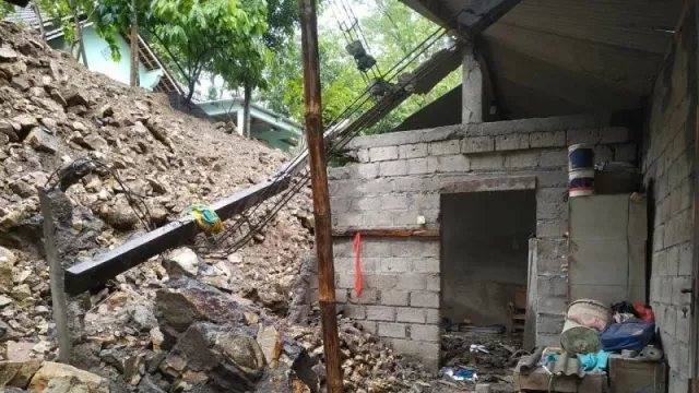 Hujan Deras Sebabkan Pohon Tumbang di Sleman, 4 Orang Terluka - GenPI.co JOGJA