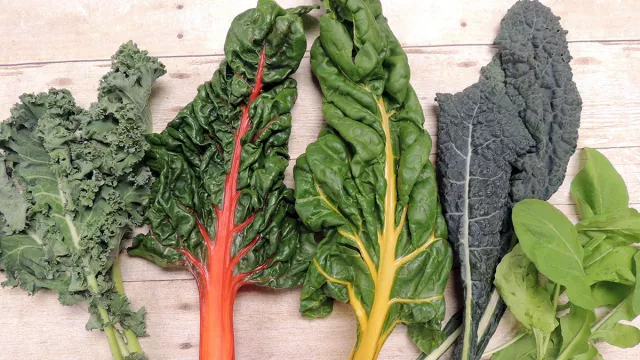 Swiss Chard, Sayuran Hijau Bermanfaat, Salah Satunya Cegah Kanker - GenPI.co JOGJA