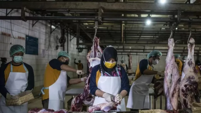 Kementan Serukan Peternak Berinovasi untuk Stop Impor Daging Sapi - GenPI.co JOGJA