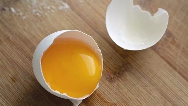 Kaya Gizi! Ini Khasiat Luar Biasa Makan Kuning Telur - GenPI.co JOGJA