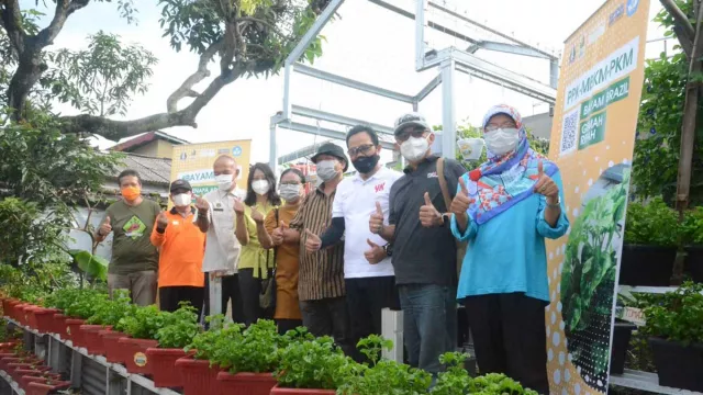 Cukupi Nutrisi, Kampung Sayur Yogyakarta Didorong Berkembang - GenPI.co JOGJA