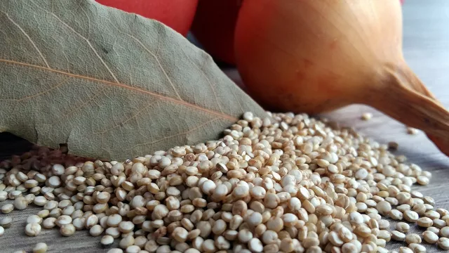 Tidak Hanya untuk Diet, Biji Quinoa juga Punya Banyak Manfaat - GenPI.co JOGJA