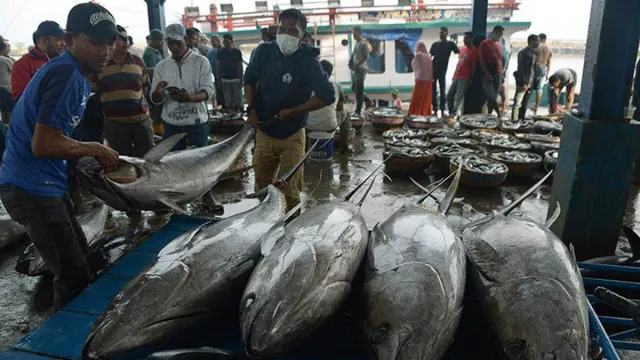 Suka Mengongsumsi Ikan Berminyak? Khasiatnya Wah! - GenPI.co JOGJA