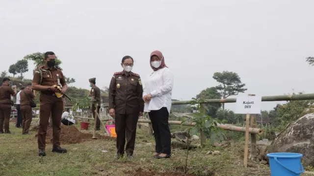 Dikenal Gersang, 5 Ribu Bibit Pohon Ditanam di Prambanan Sleman - GenPI.co JOGJA