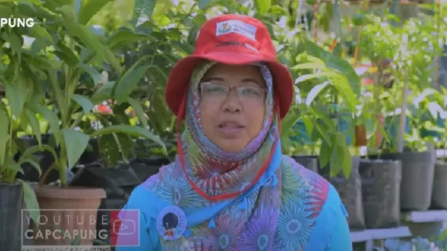Keren! Kampung Padat di Kota Yogyakarta Disulap Jadi Kebun Sayur - GenPI.co JOGJA