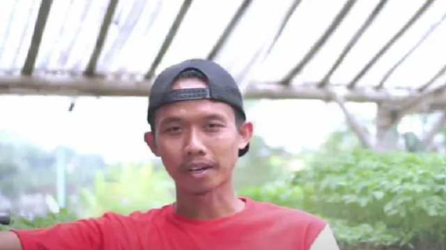 Kisah Mantan Karyawan, Sukses Usaha Pembibitan Sayuran di Bantul - GenPI.co JOGJA Kisah Mantan Karyawan, Sukses Usaha Pembibitan Sayuran di Bantul - GenPI.co JOGJA