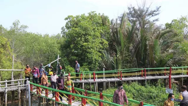 Pemkab Kulon Progo Janjikan Pengembangan Wisata Mangrove - GenPI.co JOGJA