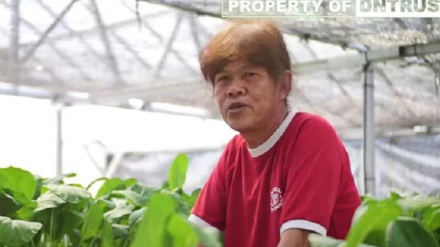 Kisah Sukses Pria di Sleman, Bertani Hidroponik di Lahan Sempit - GenPI.co JOGJA