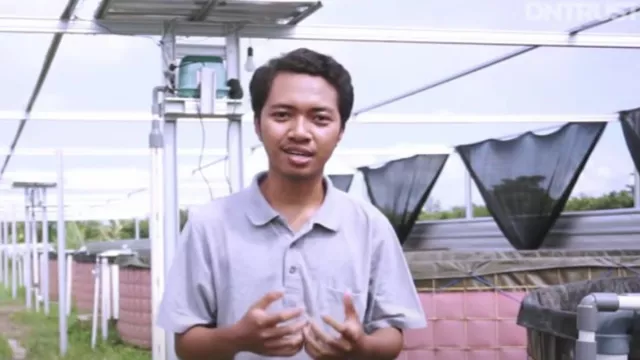 Top! Pria di Bantul Ini Sukses Budi Daya Ikan Nila Sistem Bioflok - GenPI.co JOGJA