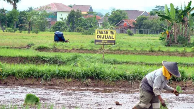 Ratusan Hektare Lahan Pertanian di Kulon Progo Alih Fungsi - GenPI.co JOGJA