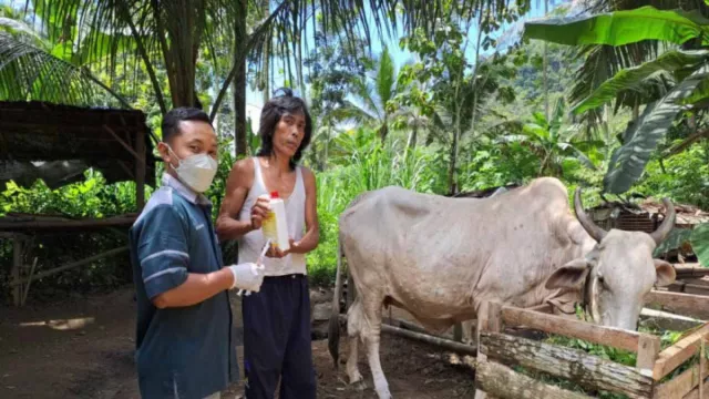 Vaksinasi Hewan Ternak di Zona Merah Antraks Gunungkidul Dipastikan Selesai - GenPI.co JOGJA
