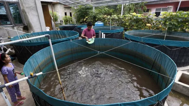 Sleman Imbau Petani Ubah Pola Budi Daya Ikan untuk Menekan Kerugian - GenPI.co JOGJA