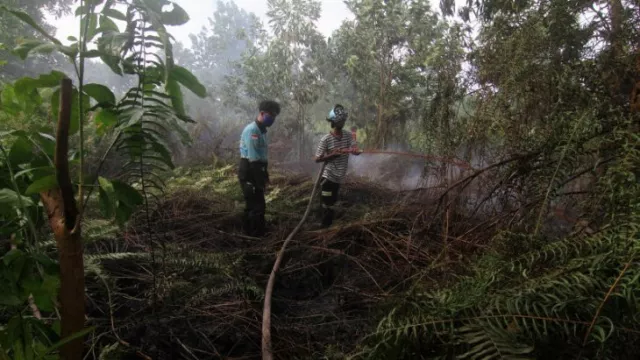 Diguyur Hujan Dua Hari, Titik Api di Kalbar Tersisa 4 - GenPI.co KALBAR