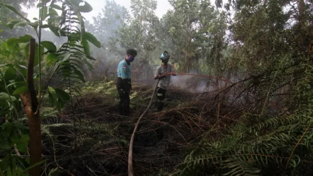 Diguyur Hujan Dua Hari, Titik Api di Kalbar Tersisa 4 - GenPI.co KALBAR Diguyur Hujan Dua Hari, Titik Api di Kalbar Tersisa 4 - GenPI.co KALBAR