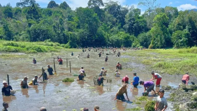 Tradisi Unik Sambut Paskah, Satu Kampung Panen Ikan - GenPI.co KALBAR