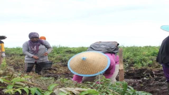 Kubu Raya Prioritaskan Pembangunan Berbasis Pedesaan - GenPI.co KALBAR