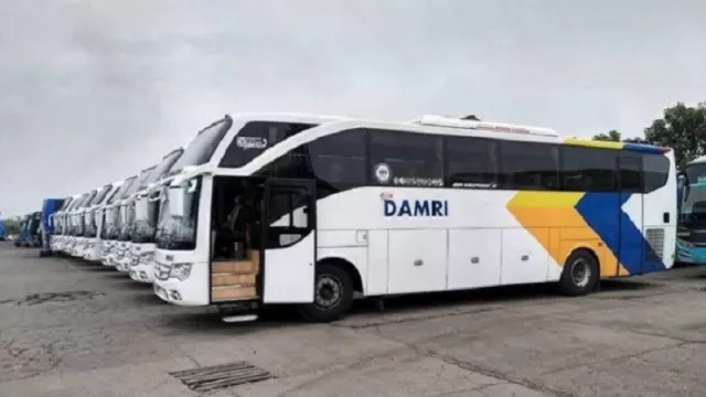 5 Unit Bus Damri Layani Rute Pontianak-Kuching, Berikut Jam Operasionalnya - GenPI.co KALBAR