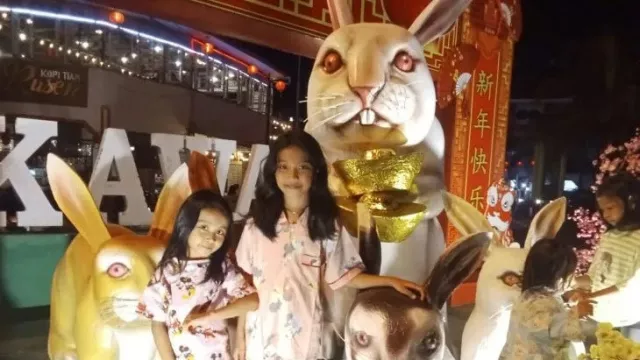 Imlek dan Cap Go Meh, 7 Replika Kelinci Bakal Ditampilkan Singkawang - GenPI.co KALBAR
