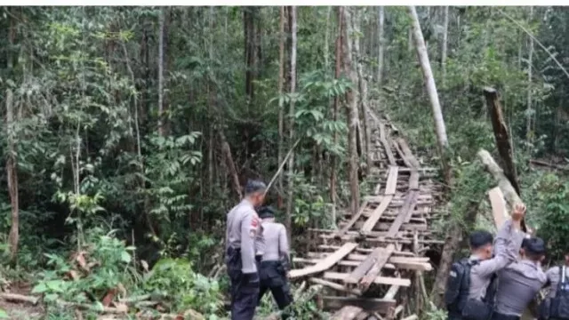 Cegah Pembalakan Hutan Lindung, Polres Bengkayang Gencarkan Patroli - GenPI.co KALBAR