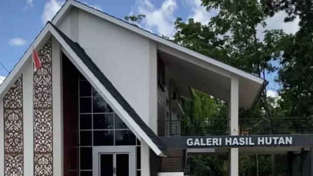 Warga Kalbar Bisa Berwisata Edukatif di Galeri Hasil Hutan - GenPI.co KALBAR Warga Kalbar Bisa Berwisata Edukatif di Galeri Hasil Hutan - GenPI.co KALBAR