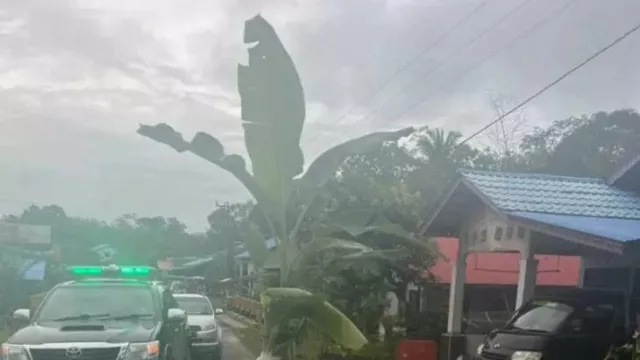 Warga Tanam Pohon Pisang di Jalan Nasional, Wabup Kapuas Hulu: Sabar - GenPI.co KALBAR