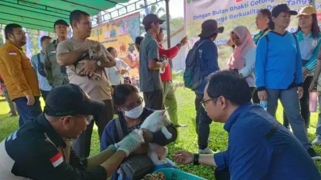 Cegah Rabies, Disbunnak Kalbar Salurkan 22.600 Dosis Vaksin Rabies - GenPI.co KALBAR