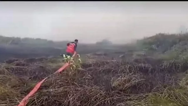 Kebakaran Lahan di Kubu Raya, Ketersediaan Air Jadi Kendala Pemadaman Api - GenPI.co KALBAR