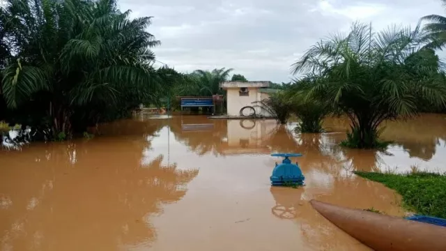 Duh, Harga Bahan Pokok Ikut Naik Imbas Banjir Kutai Timur - GenPI.co KALTIM