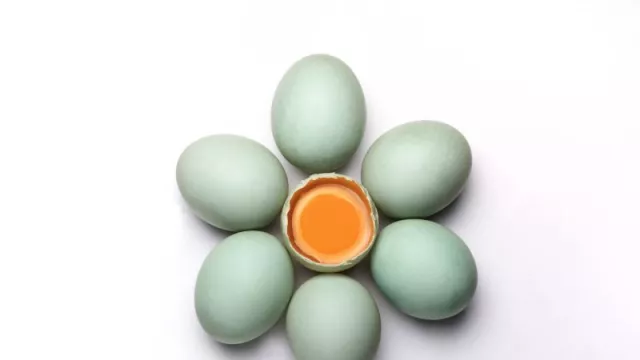 Jarang Diketahui, Ini 4 Fakta Menarik Telur Asin - GenPI.co KALTIM