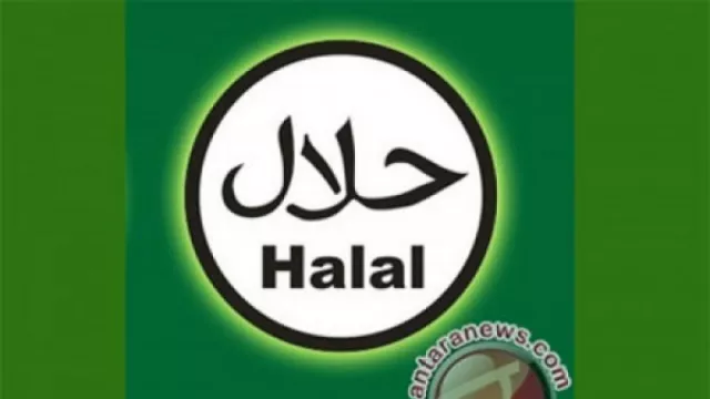 Usaha Kecil di Kaltim Gratis Urus Sertifikat Halal, Cek Syaratnya - GenPI.co KALTIM