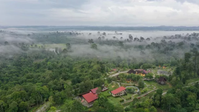 Wisata dan Belajar di Kebun Raya Balikpapan - GenPI.co KALTIM