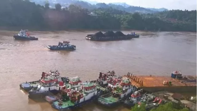 Misteri Sungai Mahakam: Ular Raksasa Bikin Merinding - GenPI.co KALTIM