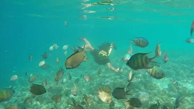 Pulau Kanjungan Besar Surga Tersembunyi di Berau, Indah dan Asri - GenPI.co KALTIM Pulau Kanjungan Besar Surga Tersembunyi di Berau, Indah dan Asri - GenPI.co KALTIM