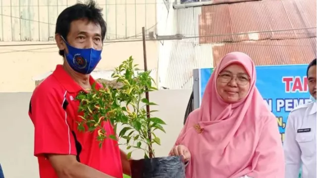 Kerap Picu Inflasi, Pemprov Kalimantan Timur Gencarkan Gerakan Tanam Cabai - GenPI.co KALTIM
