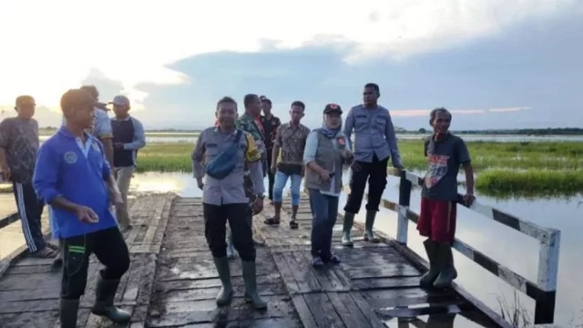 Ratusan Hektare Sawah di Penajam Paser Utara Kebanjiran - GenPI.co KALTIM