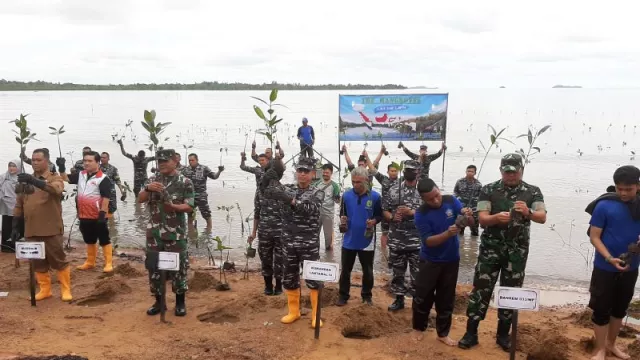 Aksi Tanam 4.500 Mangrove di Dompak Pecahkan Rekor MURI - GenPI.co KEPRI