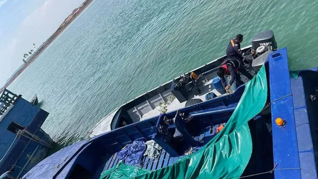 Penyelundupan 60 Ribu Benih Lobster Digagalkan di Batam - GenPI.co KEPRI