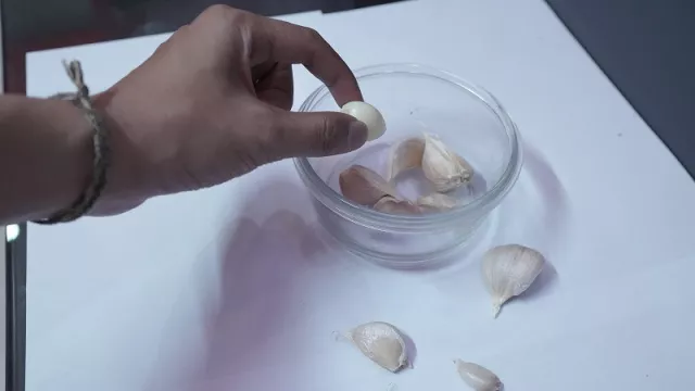 Garlicoplus, Bubuk Bawang Putih Siap Pakai Ajinamoto - GenPI.co KEPRI