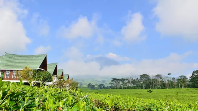 Tetirah di Kota Pagar Alam - GenPI.co