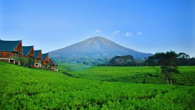 Ayo Jelajahi Gunung Dempo - GenPI.co