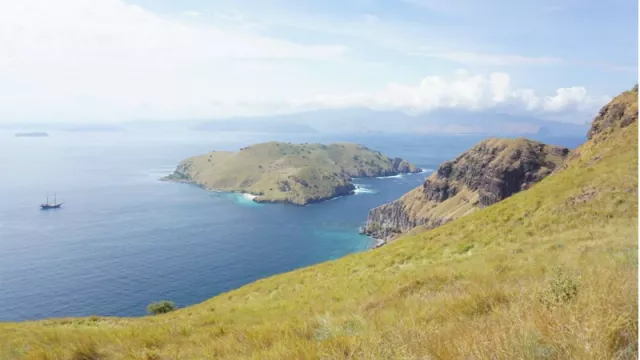 Studi Penelitian : Pantai Baik Bagi Kesehatan - GenPI.co