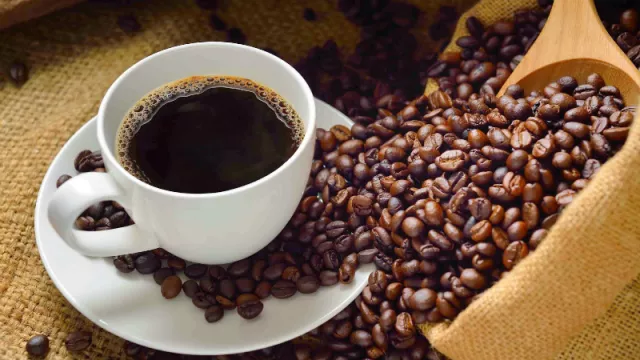 5 Manfaat Kesehatan Dibalik Nikmatnya Kopi Luwak - GenPI.co